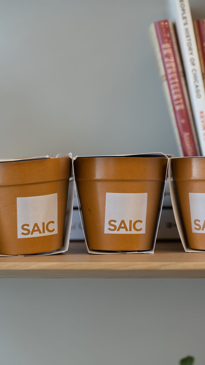 A shelf with books, succulent, and three SAIC branded plant pots.