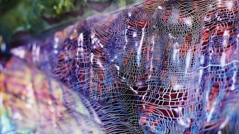 Iridescent, web-like texture reflecting light.