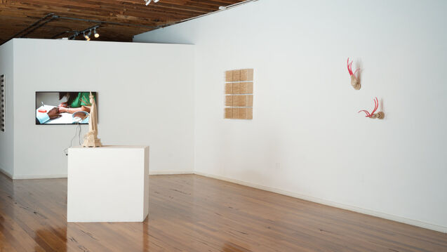Installation view of works by Le Hien Minh