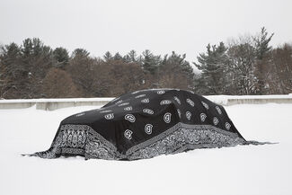 Large bandana completely covering a car in the snow