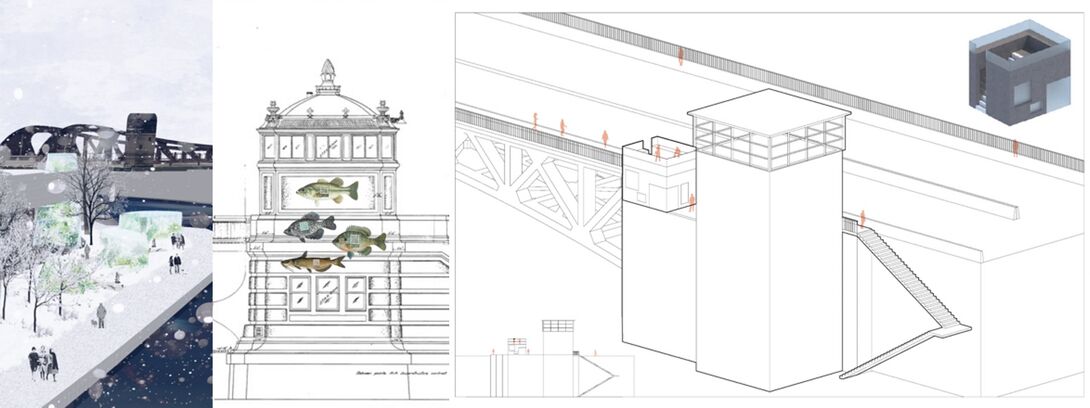 Renderings of the Chicago River and local fish ecologies